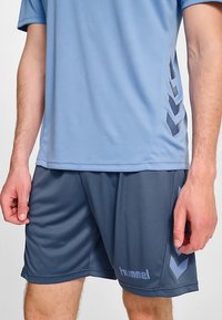 Niebieska sportowa koszulka z krótkim rękawem, ozdobiona szarą wzorem szewronowym po bokach. Do tego szare szorty z widocznym logo.