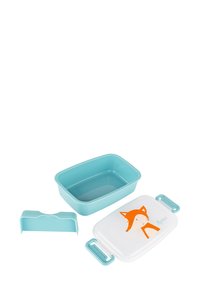 Rectangular, turquoise plastic lunchbox with a clear lid featuring an orange fox illustration. Includes a matching dividers for organization.