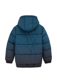 Mėlynai žalias pūkinis švarkas su gobtuvu, turintis horizontalius siuvinėjimo skyrius ir elastines rankoves. Minkšta tekstūra ir šilta izoliacija.