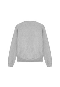 Gray crewneck sweatshirt made from soft fabric, featuring long sleeves and a ribbed hem, with no visible logos or patterns on the back.