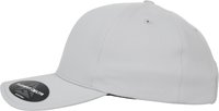 DELTA - Cap - silver