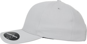 DELTA - Cap - silver