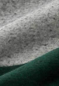 Next DIP DYE OVERHEAD  - Huppari - green