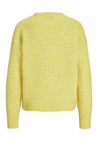 JJXX JXMILLY STRUCTURE CREW NECK - Maglione - golden kiwi
