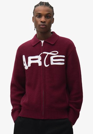 Giovane uomo con i capelli intrecciati che indossa un maglione con cerniera color bordeaux con la parola "ARTE" in grandi lettere bianche sul petto.