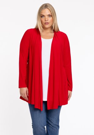 LONG SLEEVES - Gilet - red