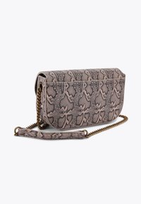 Borsa a tracolla stampata pitone in tonalità di rosa e marrone delicate, dotata di una tracolla a catena e una superficie liscia con una forma strutturata.