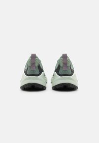 Adidas Terrex TRAILMAKER 2 - Chaussures de marche - silver green/preloved fig/crystal jade