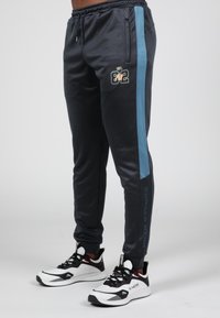 DEVON TRAINING  - Trainingsbroek - gray