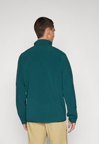 Patagonia TECHFACE - Jachetă outdoor - cascade green