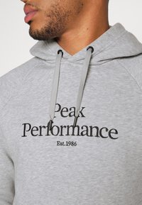 Gros plan d'une personne portant un sweat à capuche gris clair avec des cordons de serrage et un texte brodé noir "Peak Performance Est. 1986" sur la poitrine.