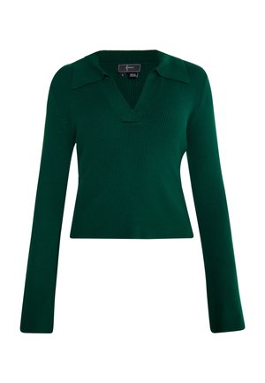 Groene ribgebreide pullover met lange mouwen, een V-hals en een kraagontwerp. Beschikt over een aansluitende silhouet met een gladde textuur.