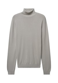 Light grey turtleneck sweater with long sleeves. Features a relaxed fit and ribbed neck, cuffs, and hem. Soft knit fabric with smooth texture.