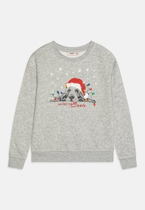 Γκρι φούτερ με λαιμόκοψη, που απεικονίζει έναν σκύλο που φοράει ένα κόκκινο καπέλο Αη Βασίλη, πολύχρωμα φωτάκια και το κείμενο "Περιμένοντας τον Αη Βασίλη" σε κόκκινο χρώμα.