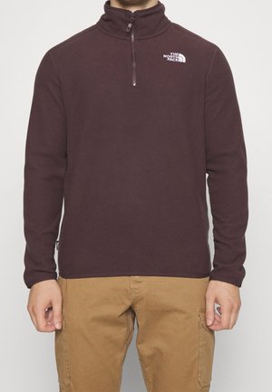 Homme portant une polaire marron foncé à zip quart avec le logo The North Face et un pantalon cargo beige, debout devant un fond uni.