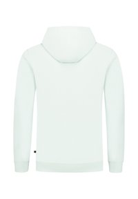 Lichtgroene hoodie, zachte stof, lange mouwen, ribgebreide manchetten en zoom, verstelbare trekkoorden in de kap, minimalistisch ontwerp zonder versieringen.