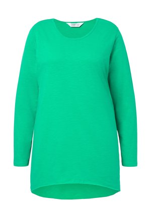 Green long-sleeve T-shirt with a round neckline. Made of soft fabric, featuring a relaxed fit with a slightly longer back hem.