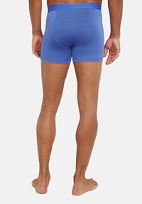 icebreaker MER COOL-LITE ANATOMICA  - Boxer brief - brilliant
