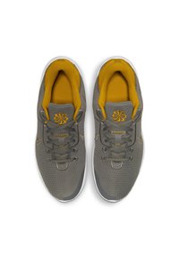 Nike Performance FLEX EXPERIENCE RN 11 - Sapatos para corrida em estrada - flat pewter/metallic pewter/gold/white