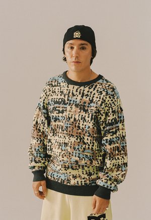 THE SWARM - Maglione - multicolor