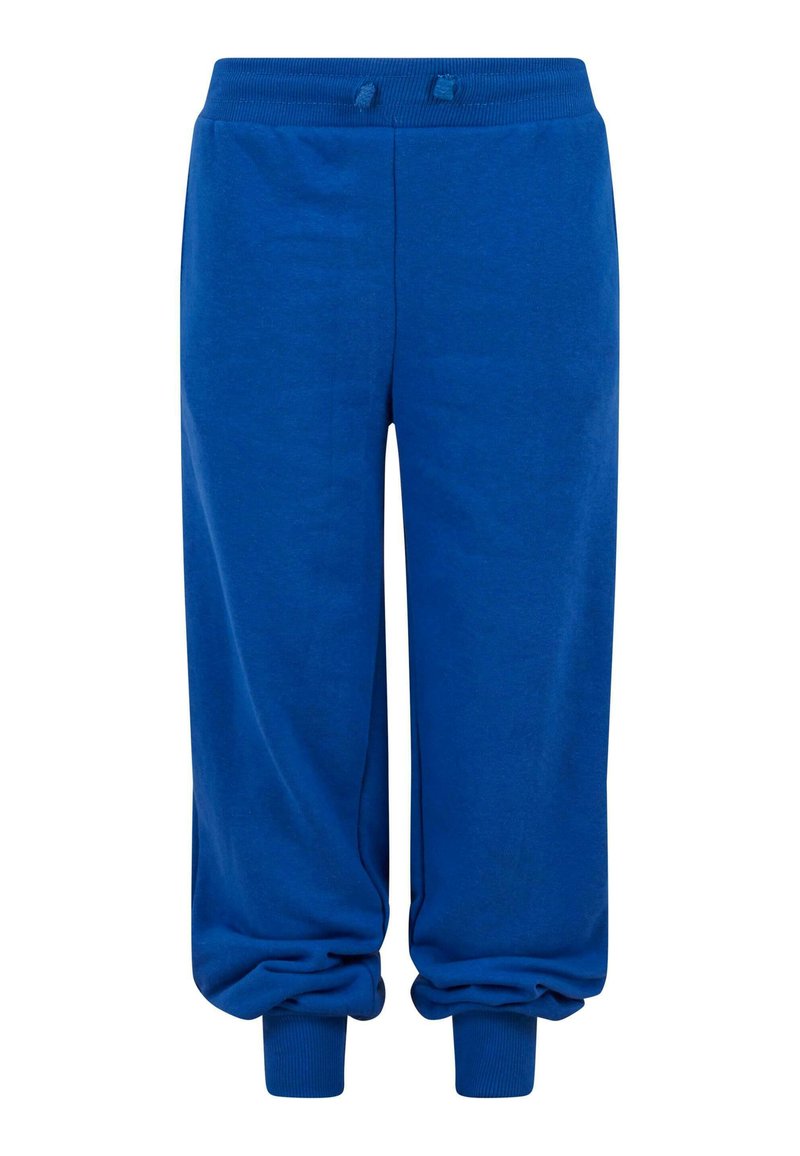 Pantalon de survêtement bleu en tissu doux, avec une taille élastique et des chevilles resserrées. Texture lisse sans motifs ni éléments visibles.