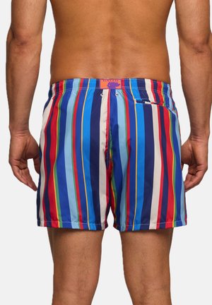 Vista posteriore di un uomo che indossa pantaloncini da bagno a righe verticali multicolori con una piccola tasca e un'etichetta del marchio sulla vita.