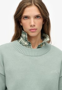 Joven mujer con cabello largo castaño que lleva un suéter de punto verde pálido sobre una camisa de cuadros verde y blanca con collar.