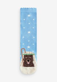 Next CHRISTMAS PATTERN 4 PACK.  REGULAR FIT - Strømper - nativity dogs
