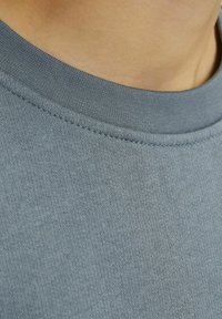 Jack & Jones Junior JORVESTERBRO CREW NECK NOOS - Ikdienas džemperis - stormy weather