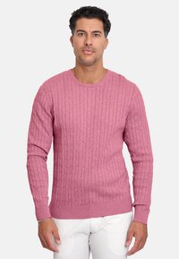 Suéter de punto acanalado rosa con escote redondo y mangas largas. Presenta un patrón texturizado y detalles en los puños y el dobladillo de contraste.