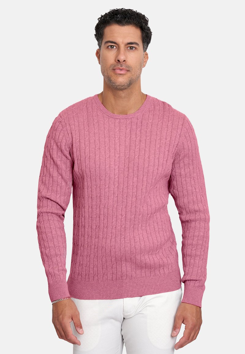 Suéter de punto acanalado rosa con escote redondo y mangas largas. Presenta un patrón texturizado y detalles en los puños y el dobladillo de contraste.