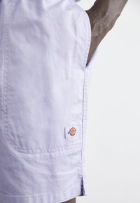 Dickies PELICAN RAPIDS - Šortai - cosmic sky