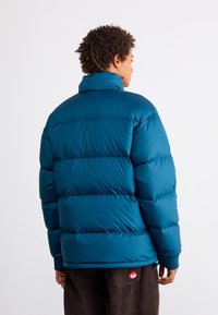 The North Face PARALTA PUFFER - Dūnu jaka - midnight petrol