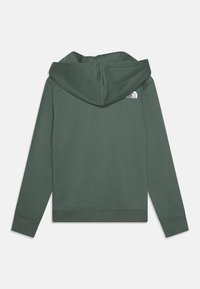 Felpa con cappuccio verde realizzata in tessuto morbido, caratterizzata da un design semplice, polsini e orlo a costine, con un piccolo logo bianco sulla parte superiore della schiena.