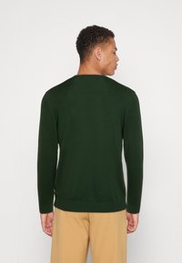 Jack & Jones JJEEMIL CREW NECK - Trui - mountain view