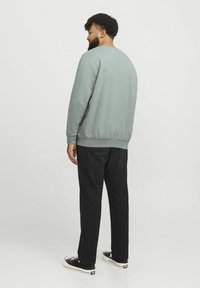 Sudadera verde claro con mangas largas y puños acanalados, combinada con pantalones negros y zapatillas negras. Textura suave, ajuste relajado.