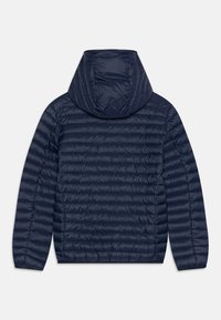 Navy Pufferjacke mit Kapuze, ausgestattet mit einem gesteppten Design, glatter Textur und elastischen Bündchen. Die Rückansicht zeigt keine sichtbaren Beschläge oder Verzierungen.