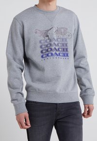 Man som bär en grå sweatshirt med en grafisk bild av en dinosaurie som drar en hästvagn ovanför ordet "COACH" upprepat fyra gånger i olika nyanser.