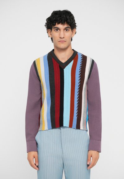 Gilet lavorato a maglia con scollatura a V, caratterizzato da strisce verticali in vari colori e motivi. Lunghe maniche viola si estendono dai lati.