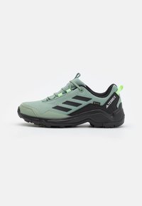 Adidas Terrex - TERREX EASTRAIL GORE-TEX® HIKING - Bėgimo bateliai, skirti nelygiam paviršiui - silver green/core black/green spark Miniatiūros vaizdas 1