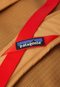 Patagonia BLACK HOLE DUFFEL 40L UNISEX - Kelioninis krepšys - talon gold-coloured