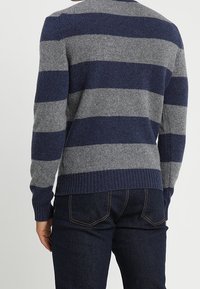 Marinblå och grå randig stickad tröja med ribbade muddar och fåll, med rund halsringning och avslappnad passform, visad bakifrån tillsammans med mörka jeans.