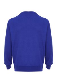 Hanorac albastru, din material tricotat, cu gât rotund, manșete și tiv rib, mâneci lungi, textură netedă fără modele sau accente vizibile.