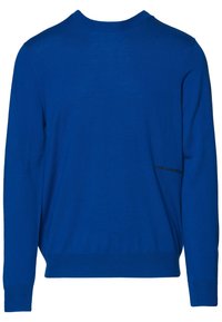 Blauer Strickpullover mit Rundhalsausschnitt, langen Ärmeln und geripptem Saum. Enthält ein dezentes Logo auf der Rückseite. Weiche, leichte Textur.