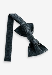 Next SET - REGULAR FIT - Einstecktuch - charcoal grey link