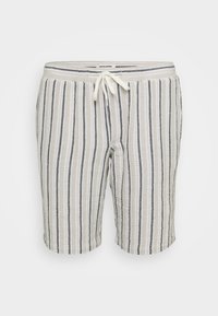 JPSTJAIDEN COBA STRIPE - Short - celadon tint