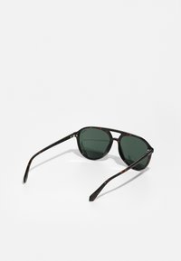 Ochelari de soare din scoică cu lentile verde închis, formă rotundă și brațe subțiri cu accente de culoare subtile. Material plastic ușor.