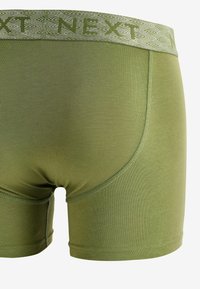Next WAISTBAND 4 PACK  - Úzké boxerky - blue green pink metallic waistband