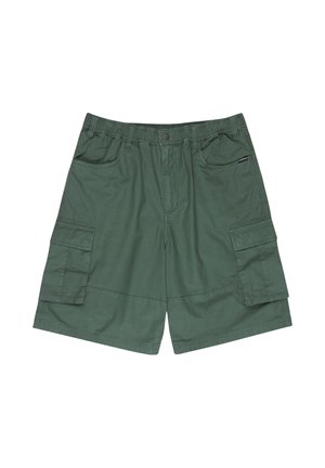 Quiksilver, FREEFALL - ELASTISCHE - Shorts - green