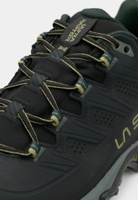Pantofii de alergare pe traseu, de culoare neagră și verde, cu partea superioară din plasă, talpă intermediară texturată, șireturi elastice și vârf întărit pentru durabilitate.
